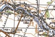 Топографічна карта Підгірного