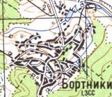 Топографічна карта Бортниок