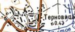 Топографическая карта Терновицы