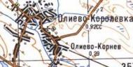 Топографическая карта Олиева-Королевки
