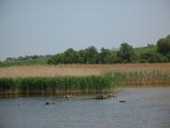 Алексей Тищенко - Останні фото