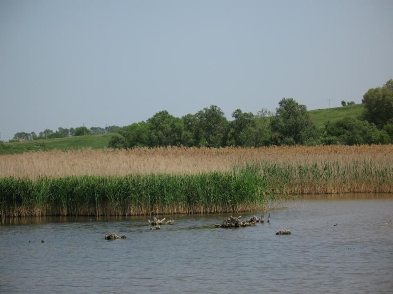 май 2007 - Алексей Тищенко