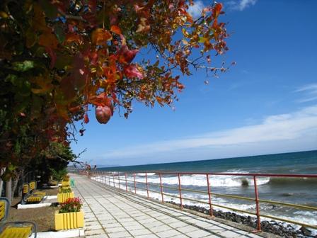 Море,море-мир бездонный - Світлана Ясененко