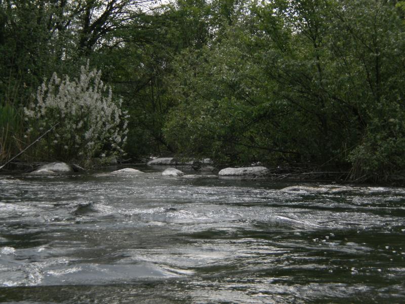 Річка Буг - Ваня Березовський