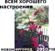 Оля Борецька - Останні фото