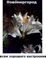 Оля Борецька - Останні фото