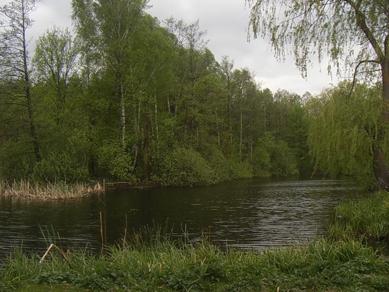 с. Могиляни Водойоми - Олег Якимчук