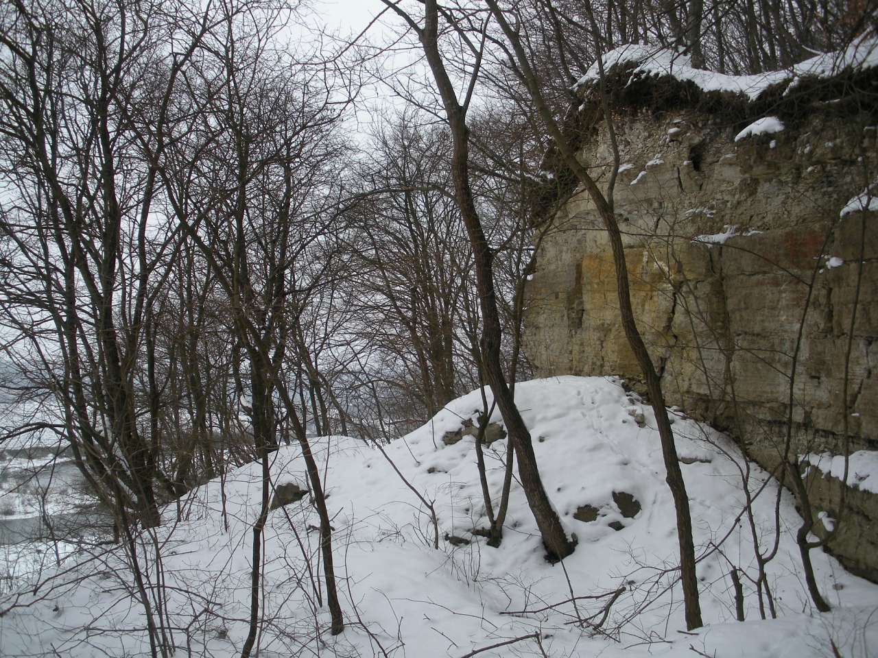 Шустівці - Соломія Ярова