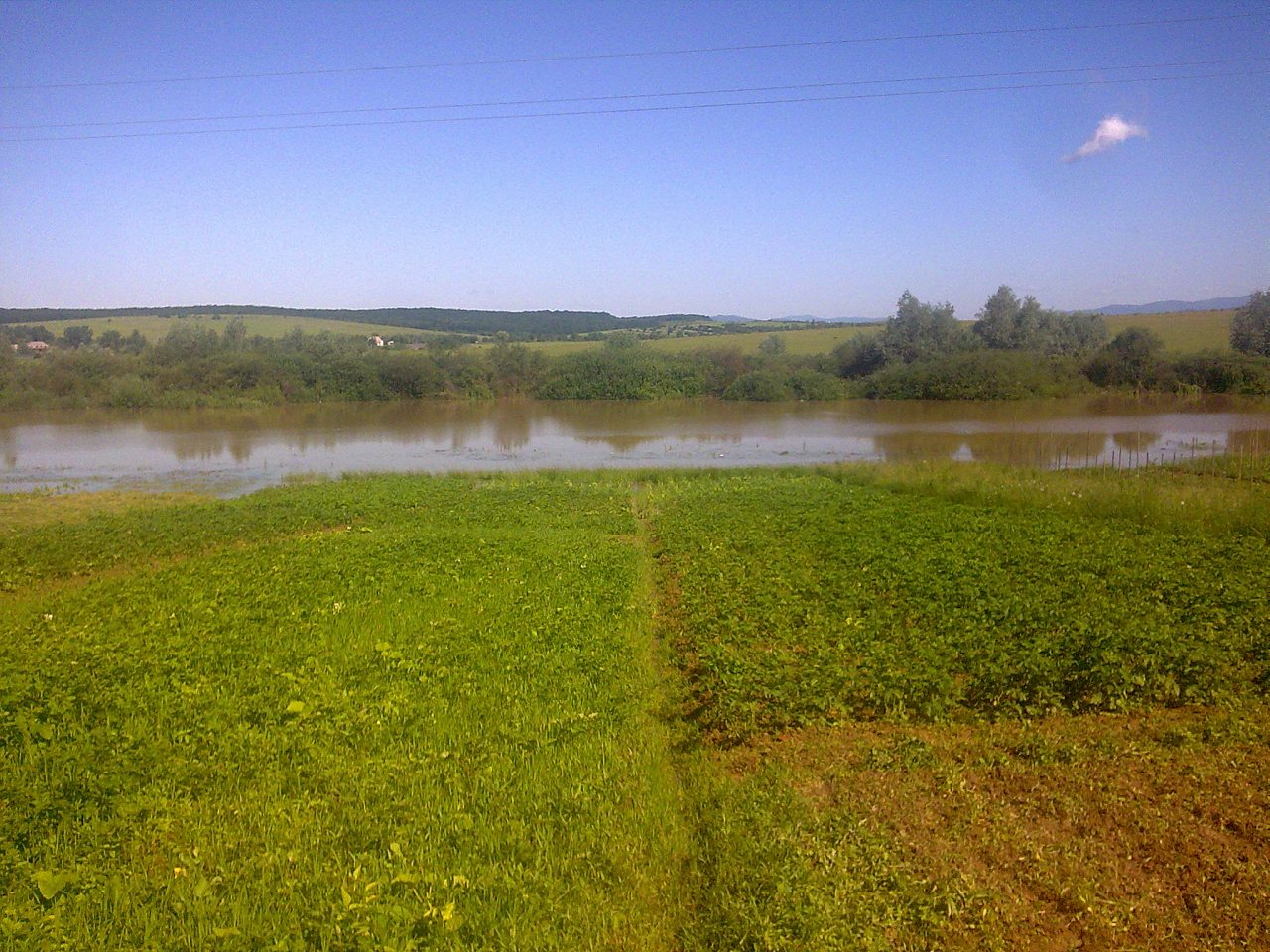 Горбок - Андрій Олексик