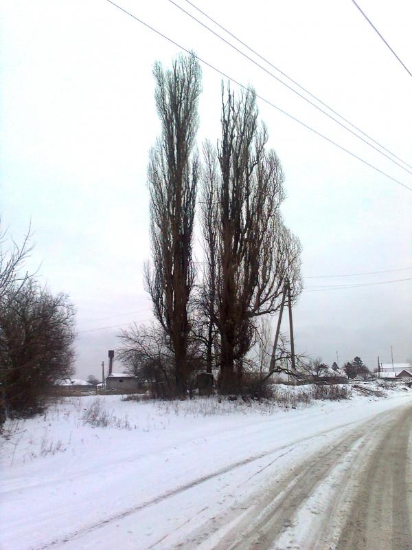 моє рідне село - Вова Семененко