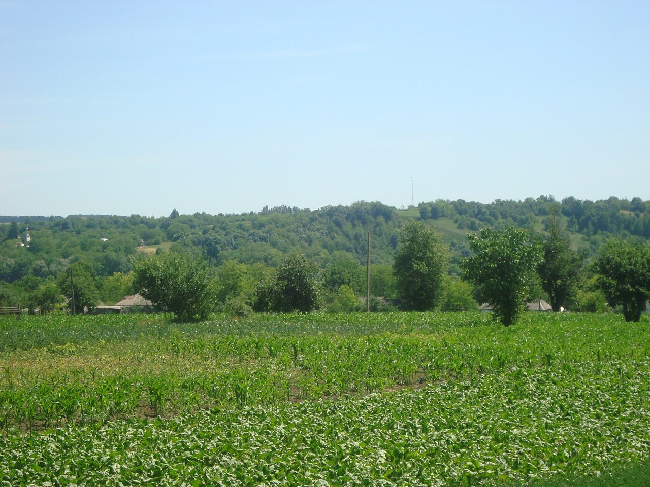 Село июнь 2011 - Николай Степаненко