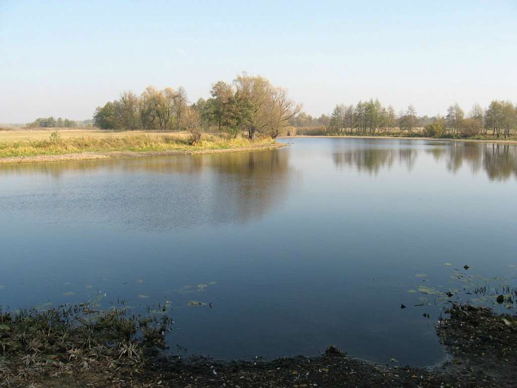 Рiдне село - Александр Гаевой