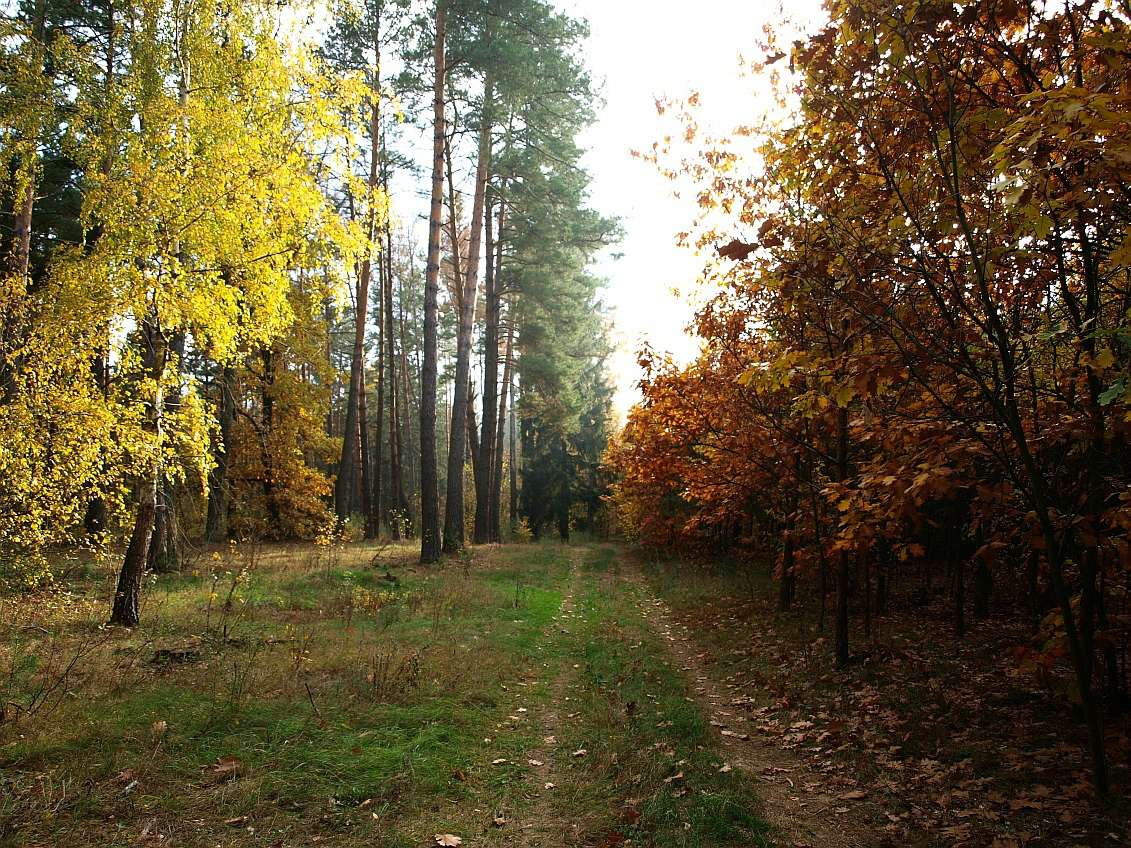 Фото_2 - Валерій Валерій