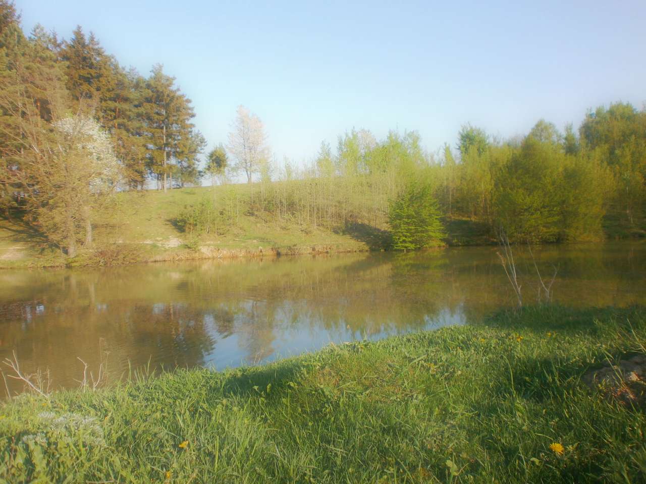 моє рідне село Червоне - Катя Исаева