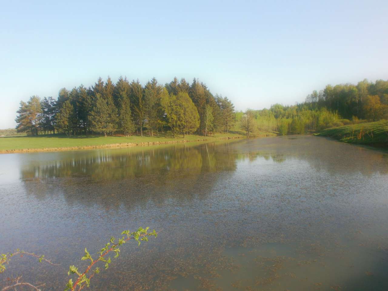 моє рідне село Червоне - Катя Исаева