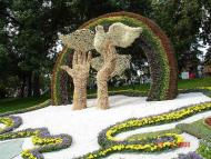 З виставки квітів, місто Київ