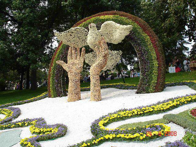 З виставки квітів, місто Київ - Володимир Дебелий