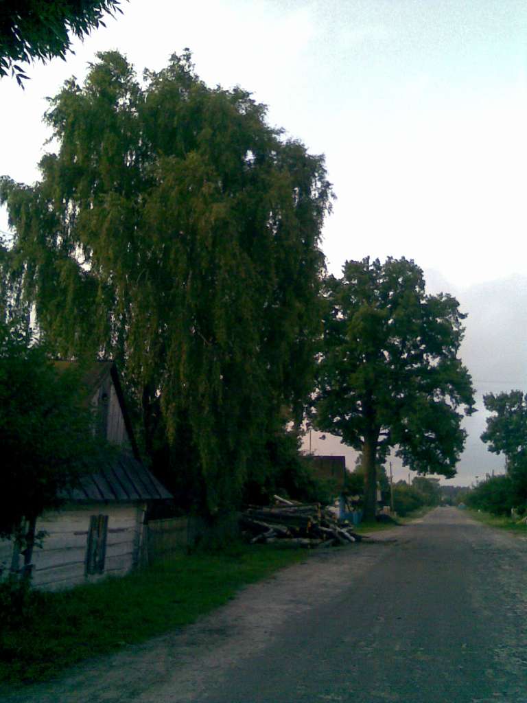 Моє рідне село - Оксана Оліферчук