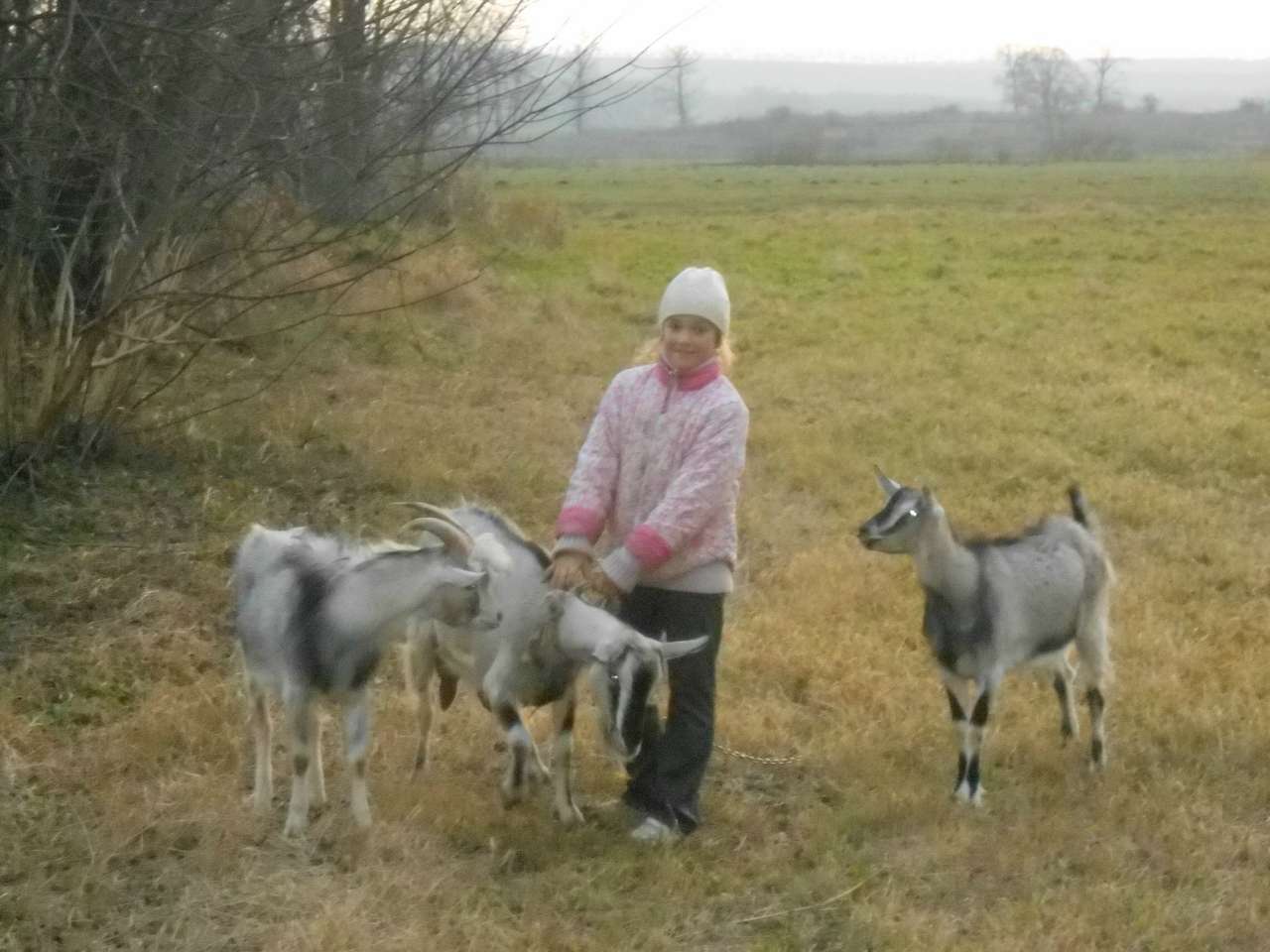 Мамині коз - Лариса 'Лепська'