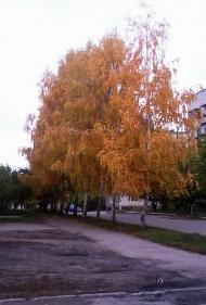 Осінь у Білопіллі