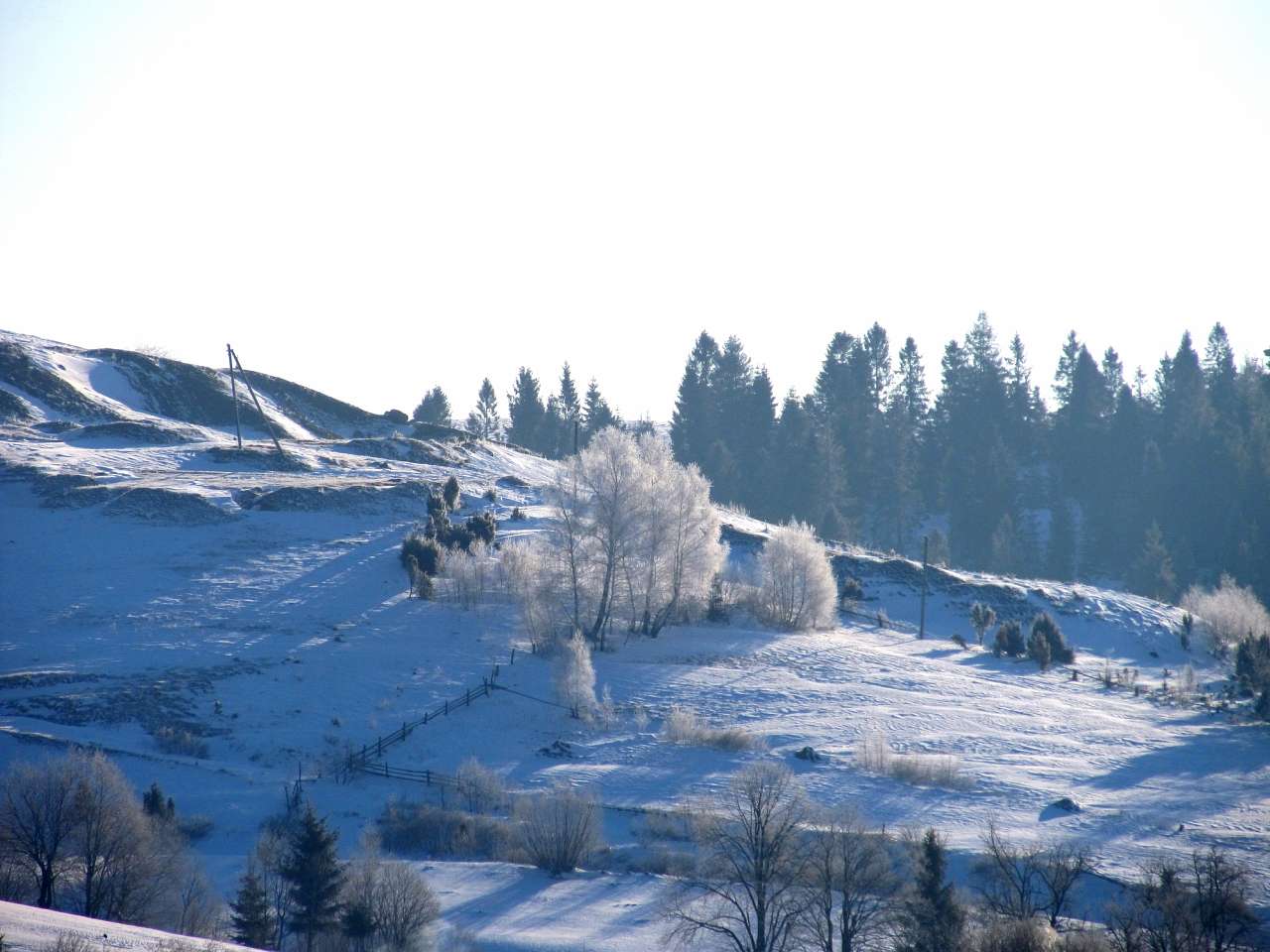 Зима 2013 - Іван Славич