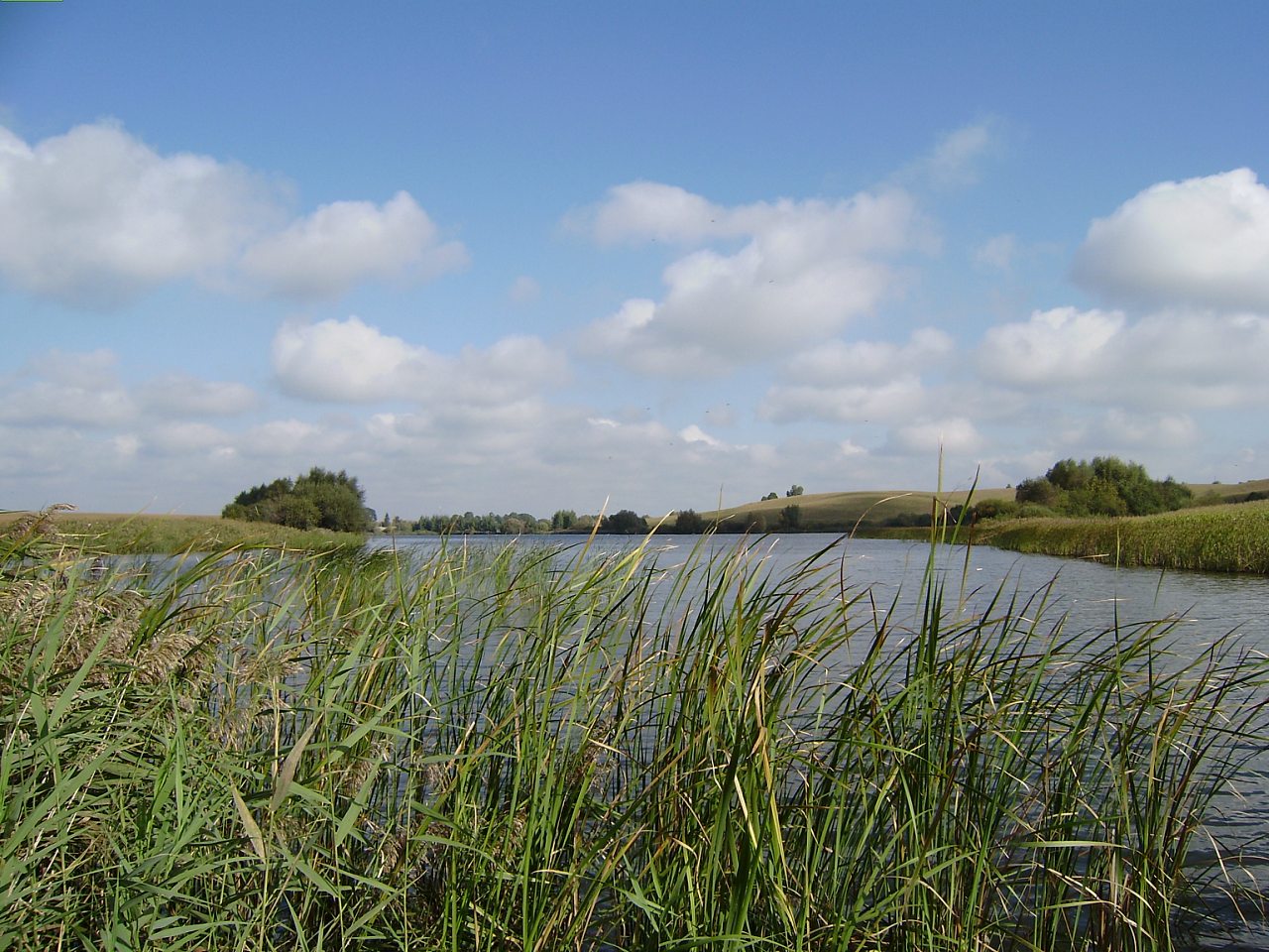 Моє село - Галина Концева(Стецюк)