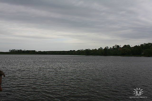 Зборів - Марія Дяченко