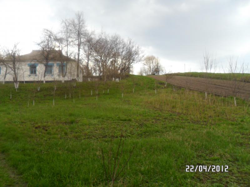 Село Федюківка - Іра Гриценко