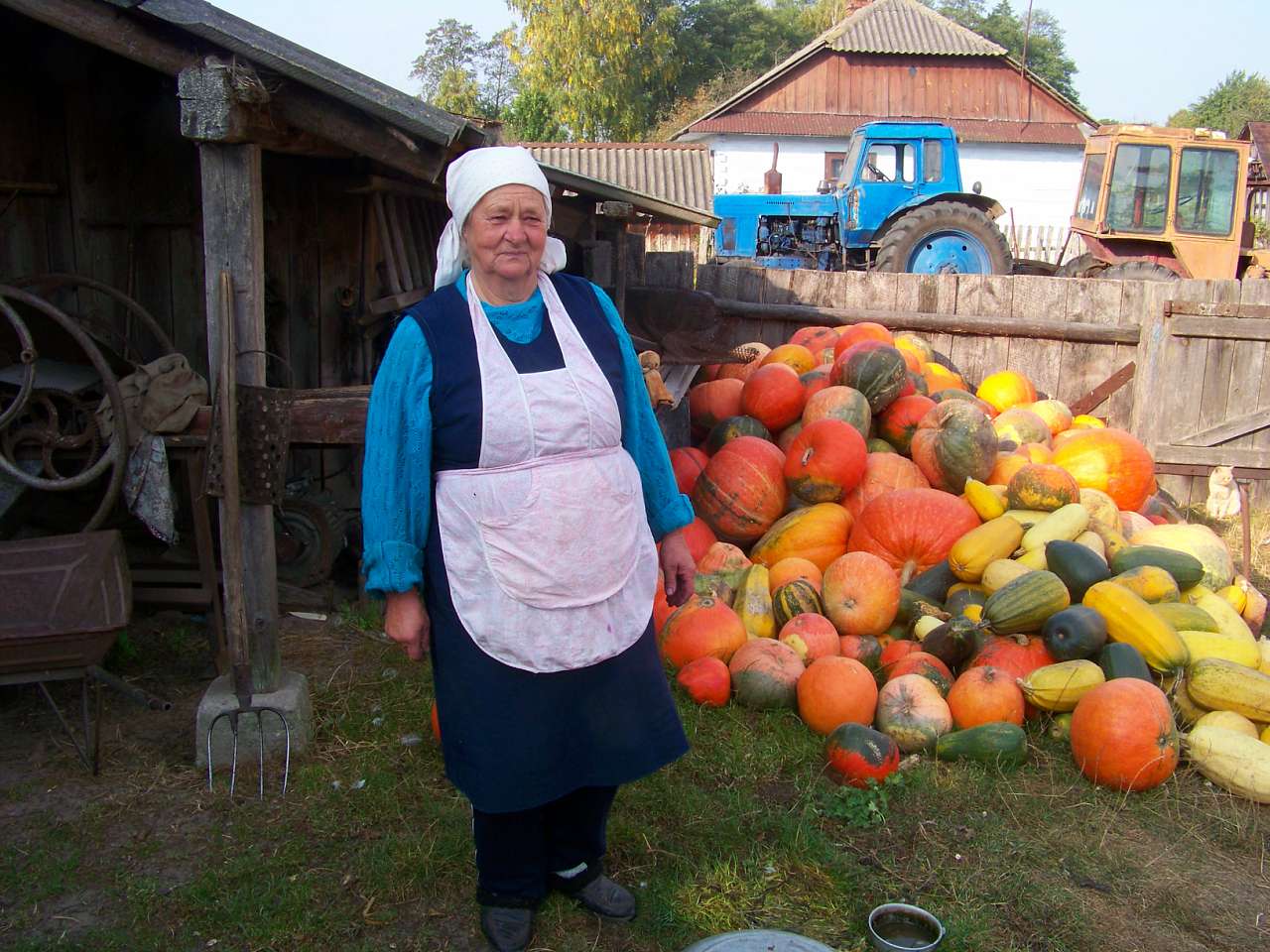 Трійця 2010 - 2014 - Владимир Скрынников