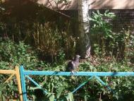 Адрес где я живу