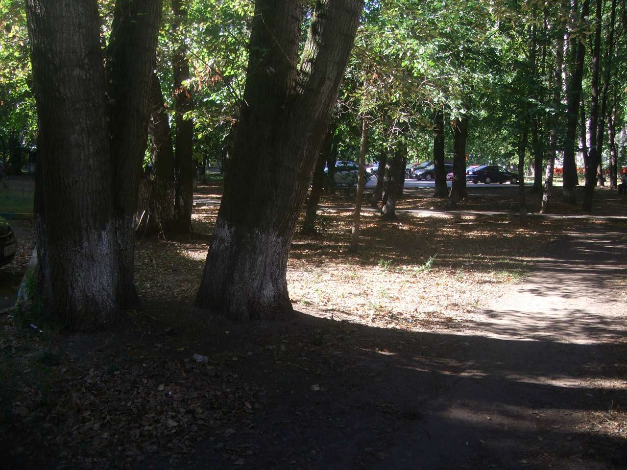 Адрес где я живу - Михаил Кондор