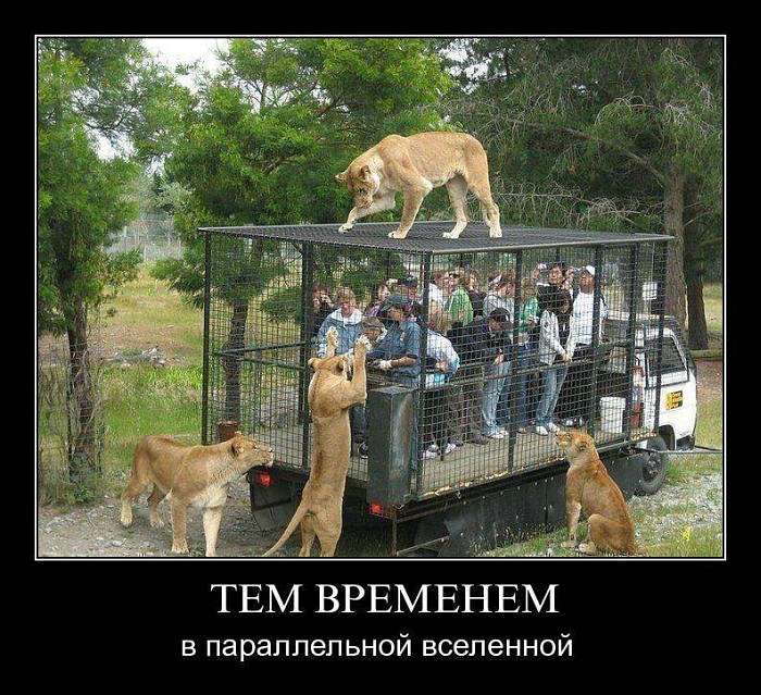 Мої фото - Михаил Кондор