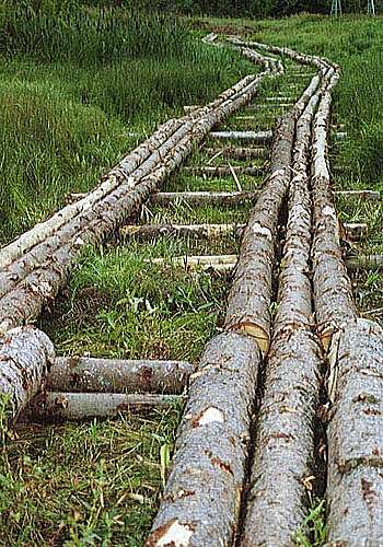 Адрес где я живу - Михаил Кондор