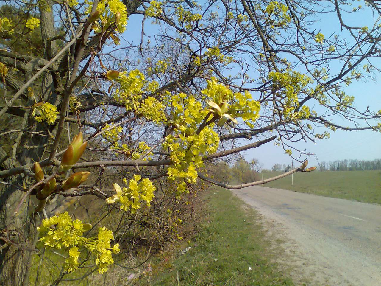 Моє село - Віталій Заруцький