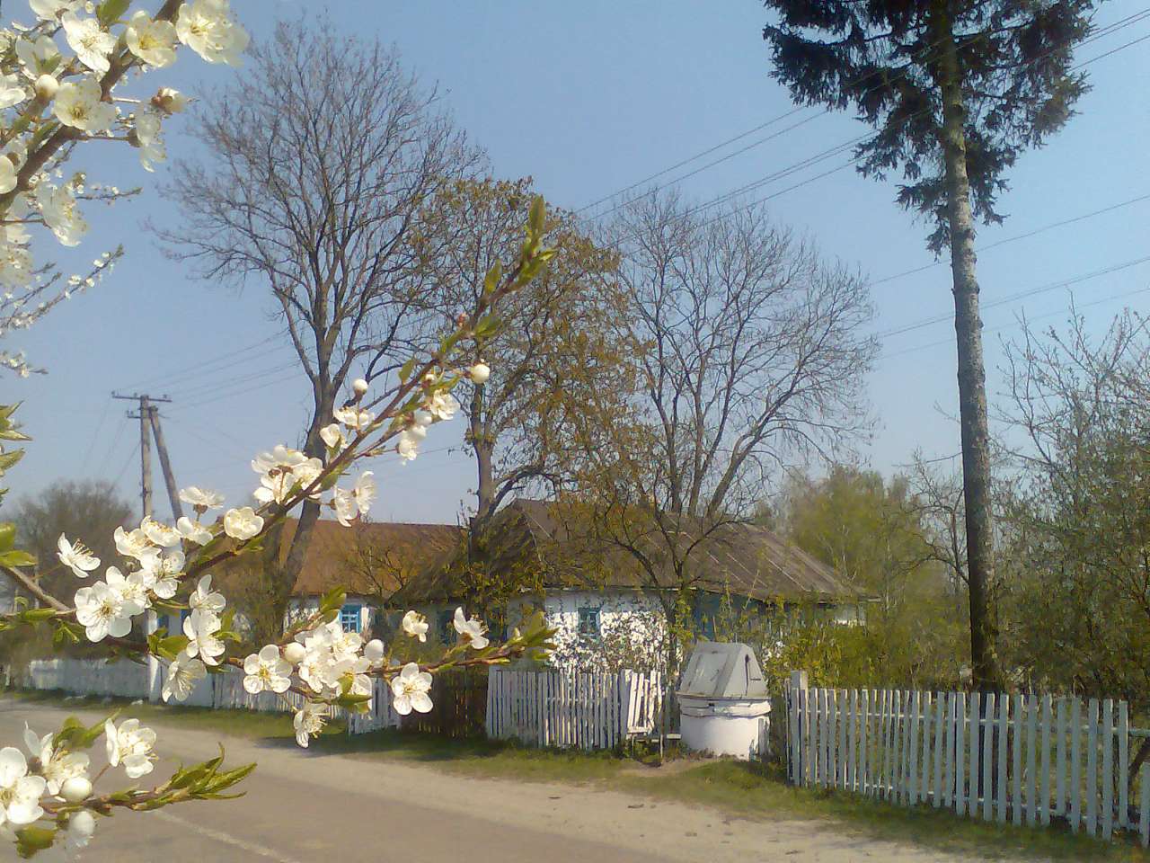 Моє село - Віталій Заруцький