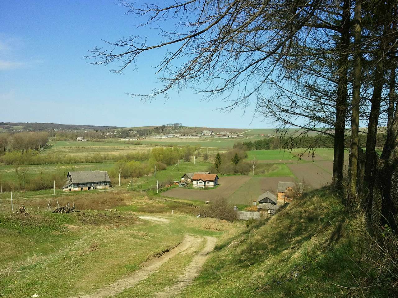 Розгадів - Рома Боднар