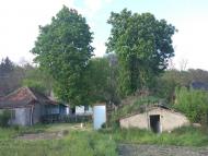 Анатолій Гораш - Последние фото