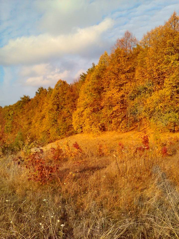 Мліїв - Михайло Осадчий