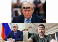 taras schneider - Останні фото