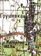 Топографическая карта Грушевки