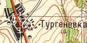 Топографическая карта Тургеневки