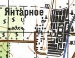 Топографічна карта Янтарного