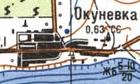 Топографическая карта Окуневки