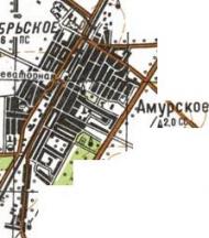 Топографічна карта Амурського