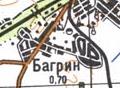 Топографічна карта Багриного