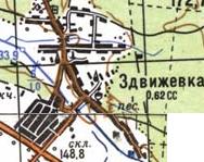 Topographic map of Zdvyzhivka