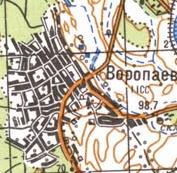 Топографічна карта Воропаєва