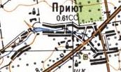 Topographic map of Pryyut