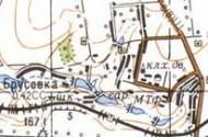 Топографічна карта Брусівки