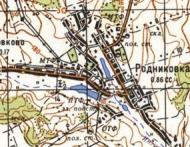 Topographic map of Rodnykivka